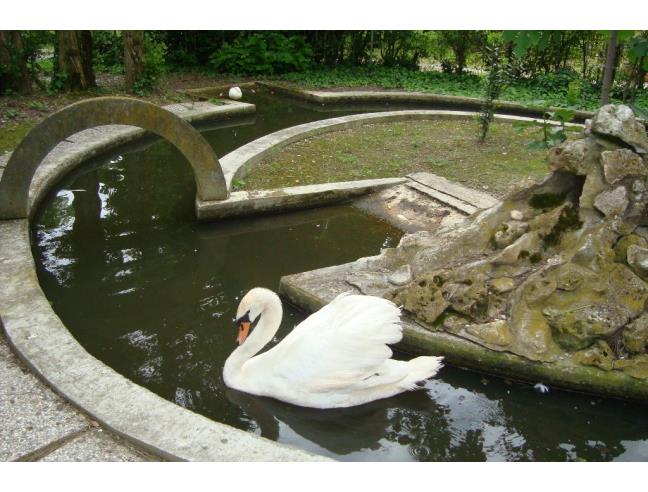 Anteprima foto 6 - Affitto Camera Tripla in Villa da Privato a Ravenna - Gambellara