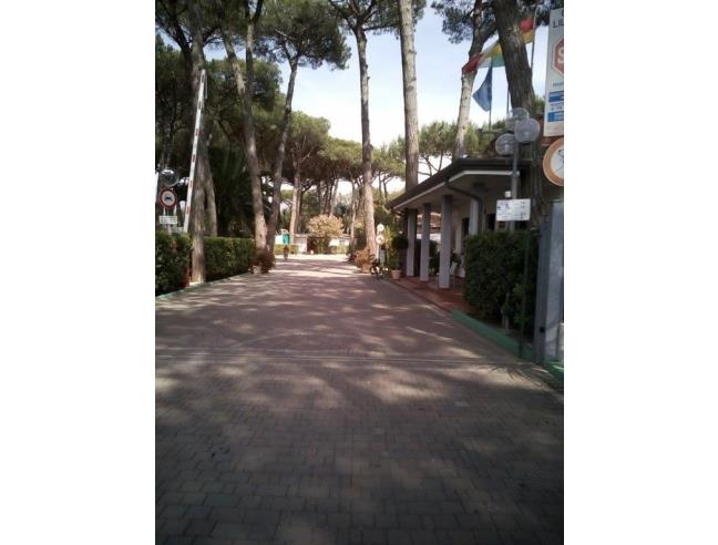 Anteprima foto 6 - Affitto Casa mobile/Roulotte Vacanze da Privato a Massa - Marina Di Massa