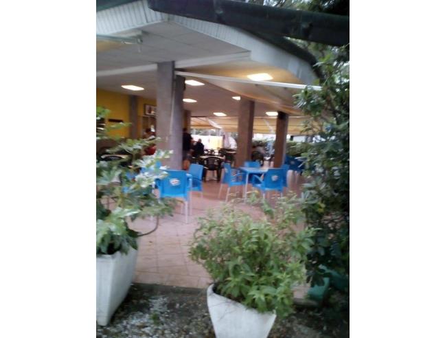 Anteprima foto 7 - Affitto Casa mobile/Roulotte Vacanze da Privato a Massa - Marina Di Massa