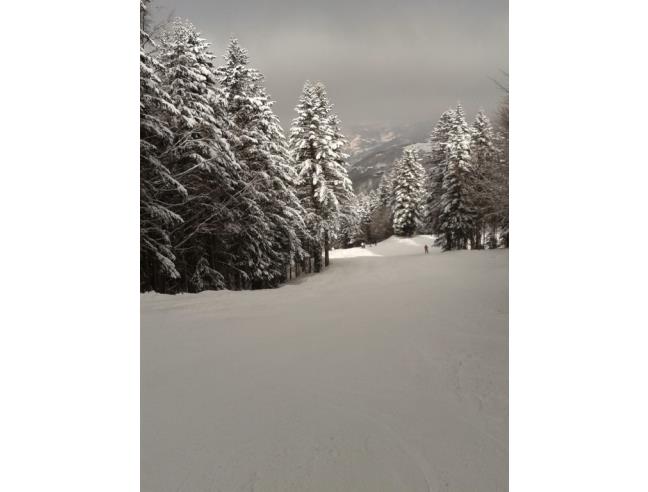 Anteprima foto 2 - Affitto Casa Vacanze da Privato a Abetone Cutigliano (Pistoia)