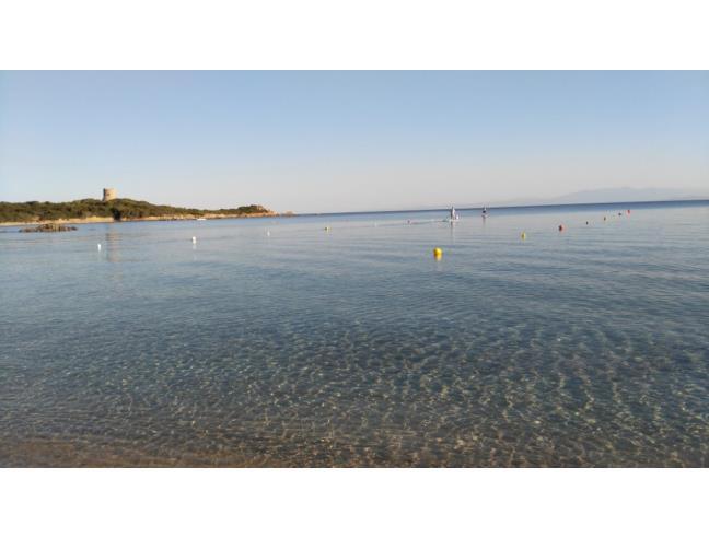 Anteprima foto 6 - Affitto Casa Vacanze da Privato a Aglientu - Baia Vignola
