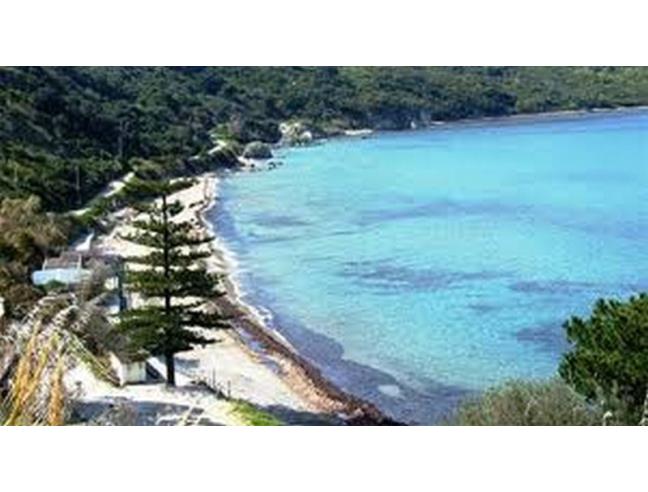 Anteprima foto 7 - Affitto Casa Vacanze da Privato a Agropoli - Moia