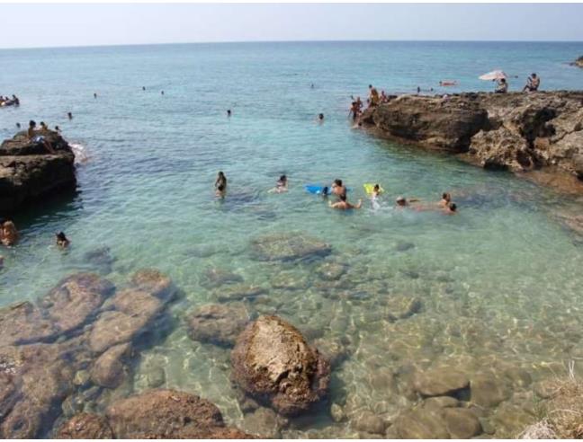 Anteprima foto 7 - Affitto Casa Vacanze da Privato a Alliste (Lecce)