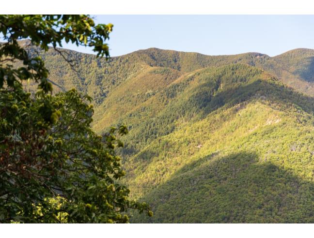 Anteprima foto 6 - Affitto Casa Vacanze da Privato a Alto Reno Terme (Bologna)