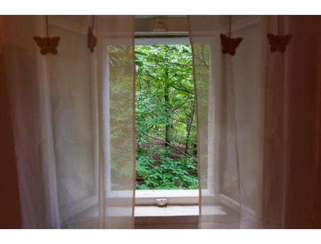 Anteprima foto 8 - Affitto Casa Vacanze da Privato a Alto Reno Terme (Bologna)