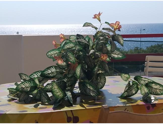 Anteprima foto 1 - Affitto Casa Vacanze da Privato a Andrano (Lecce)