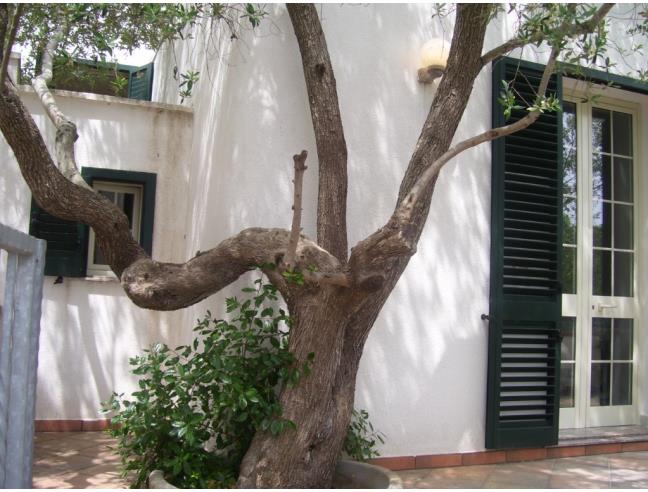 Anteprima foto 8 - Affitto Casa Vacanze da Privato a Andrano (Lecce)