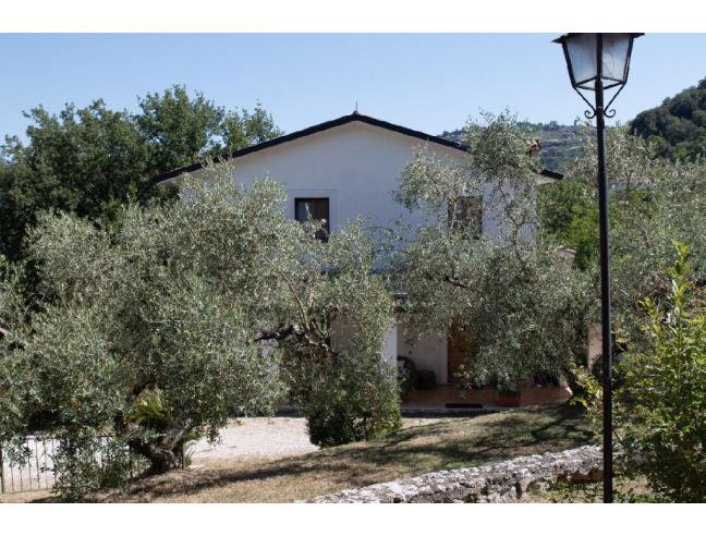 Anteprima foto 5 - Affitto Casa Vacanze da Privato a Arpino (Frosinone)