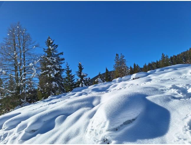 Anteprima foto 7 - Affitto Casa Vacanze da Privato a Asiago (Vicenza)