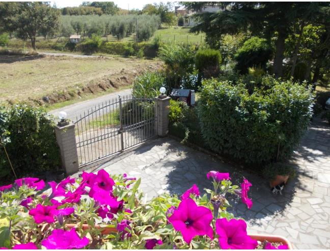 Anteprima foto 7 - Affitto Casa Vacanze da Privato a Bagnoregio (Viterbo)