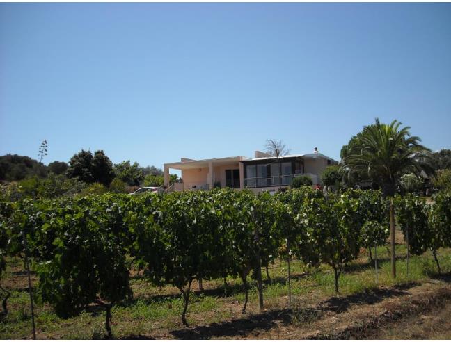 Anteprima foto 3 - Affitto Casa Vacanze da Privato a Bari Sardo - Lido Di Cea