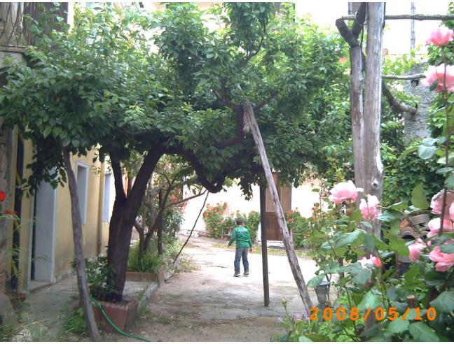 Anteprima foto 5 - Affitto Casa Vacanze da Privato a Baunei (Nuoro)