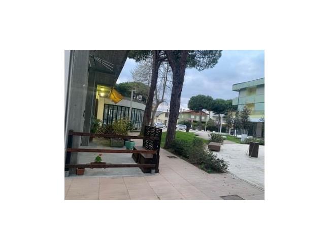 Anteprima foto 8 - Affitto Casa Vacanze da Privato a Bellaria-Igea Marina (Rimini)