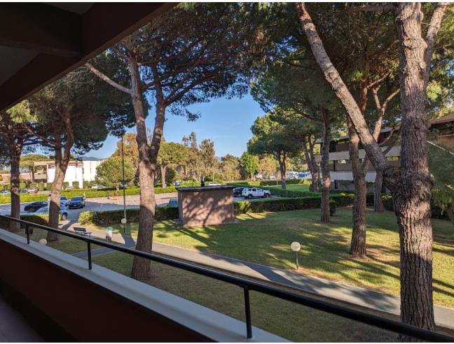 Anteprima foto 1 - Affitto Casa Vacanze da Privato a Bibbona - Marina Di Bibbona