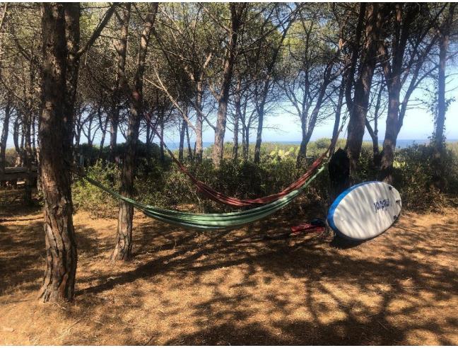 Anteprima foto 3 - Affitto Casa Vacanze da Privato a Budoni - Matta E Peru