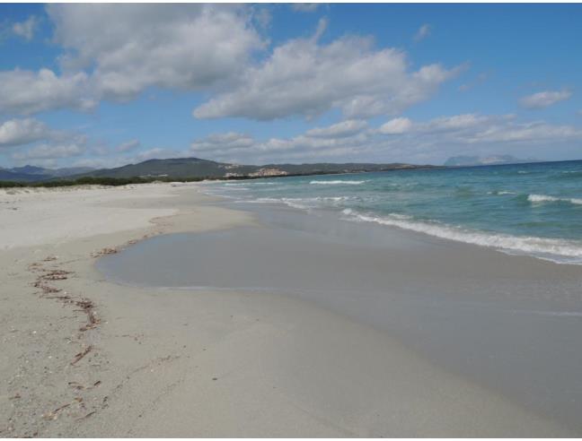 Anteprima foto 8 - Affitto Casa Vacanze da Privato a Budoni - Muriscuvò