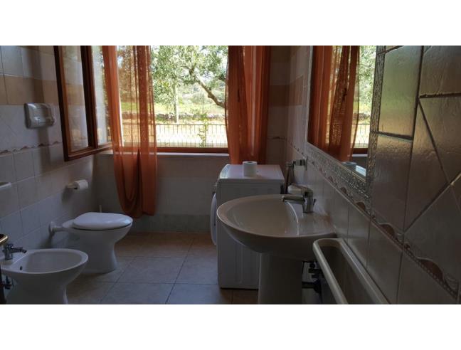 Anteprima foto 8 - Affitto Casa Vacanze da Privato a Budoni - San Gavino