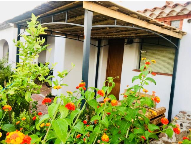 Anteprima foto 8 - Affitto Casa Vacanze da Privato a Budoni (Sassari)