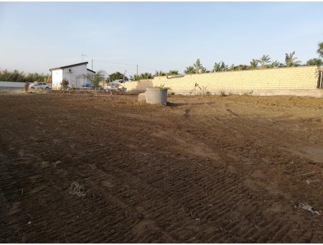 Anteprima foto 6 - Affitto Casa Vacanze da Privato a Butera - Desusino