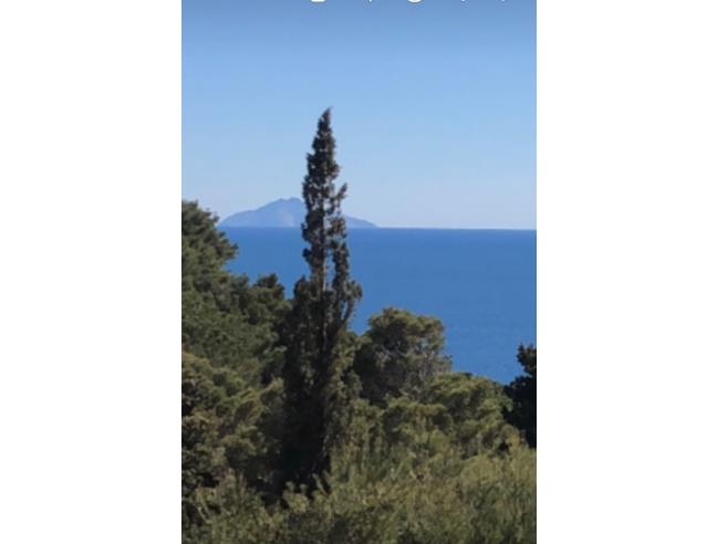 Anteprima foto 1 - Affitto Casa Vacanze da Privato a Campo nell'Elba - Colle Di Palombaia