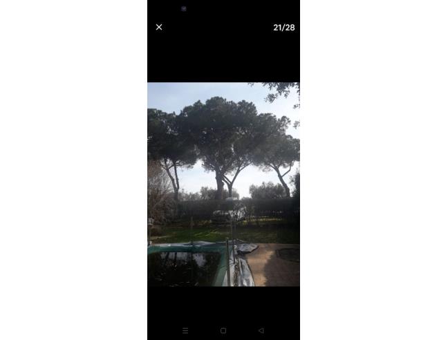 Anteprima foto 4 - Affitto Casa Vacanze da Privato a Capalbio - Capalbio Stazione