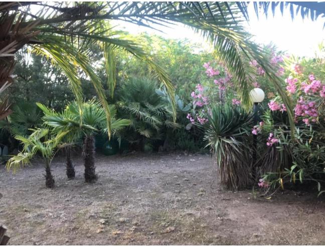 Anteprima foto 8 - Affitto Casa Vacanze da Privato a Capoliveri - Lido Di Capoliveri