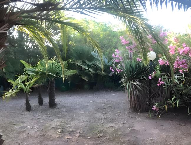 Anteprima foto 8 - Affitto Casa Vacanze da Privato a Capoliveri - Lido Di Capoliveri