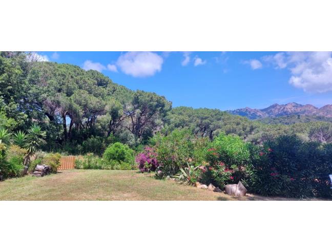 Anteprima foto 6 - Affitto Casa Vacanze da Privato a Capoliveri (Livorno)