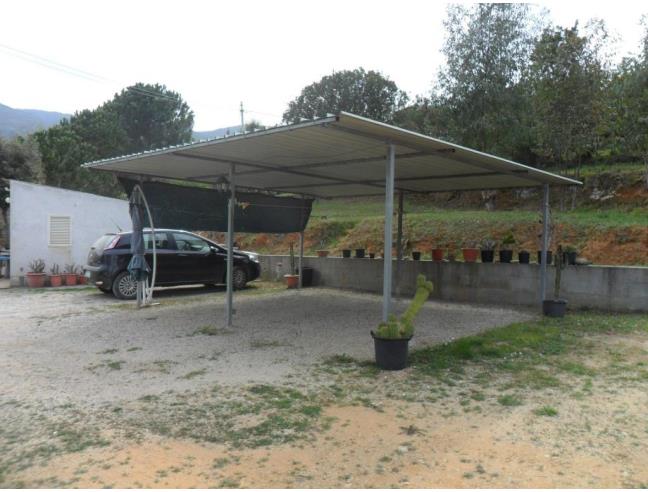 Anteprima foto 8 - Affitto Casa Vacanze da Privato a Capoliveri - Naregno
