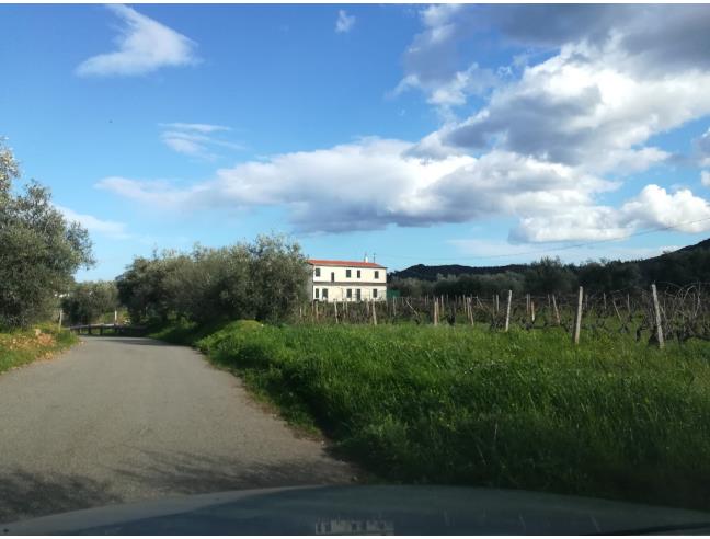 Anteprima foto 2 - Affitto Casa Vacanze da Privato a Cardedu (Nuoro)