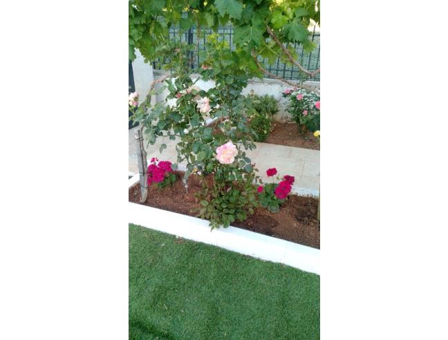 Anteprima foto 7 - Affitto Casa Vacanze da Privato a Carovigno (Brindisi)