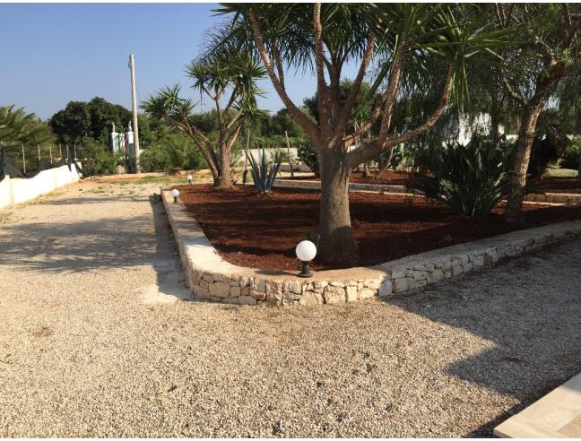 Anteprima foto 6 - Affitto Casa Vacanze da Privato a Carovigno - Specchiolla