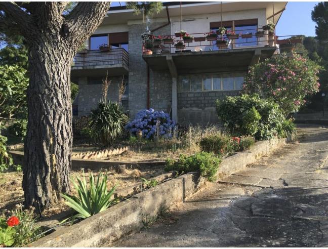 Anteprima foto 1 - Affitto Casa Vacanze da Privato a Castelbuono (Palermo)