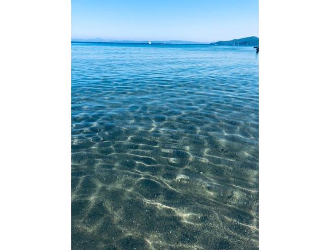 Anteprima foto 8 - Affitto Casa Vacanze da Privato a Castiglione della Pescaia - Punta Ala