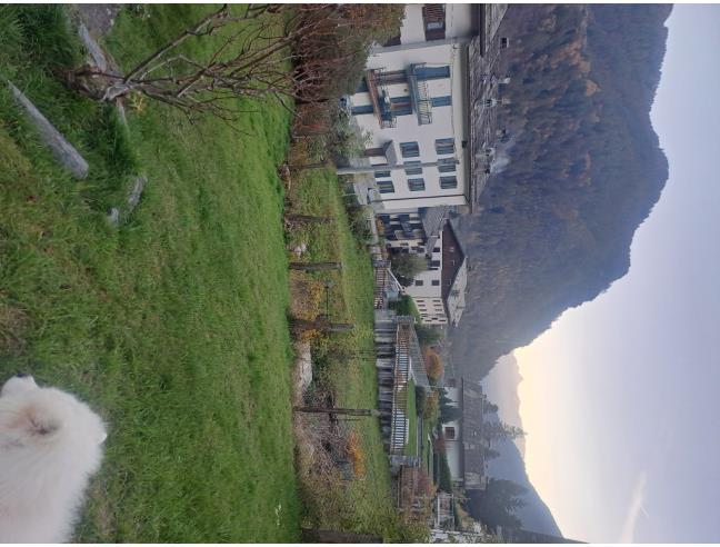 Anteprima foto 2 - Affitto Casa Vacanze da Privato a Chiesa in Valmalenco - Gande