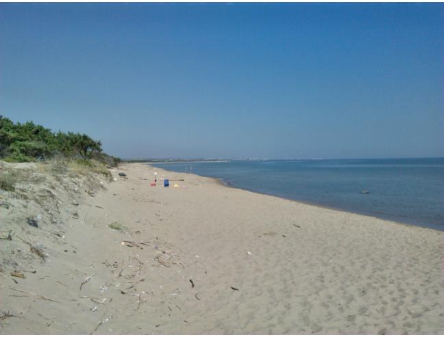 Anteprima foto 6 - Affitto Casa Vacanze da Privato a Chieuti (Foggia)