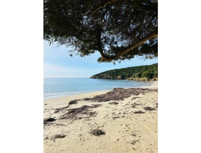 Anteprima foto 5 - Affitto Casa Vacanze da Privato a Domus De Maria (Sud Sardegna)