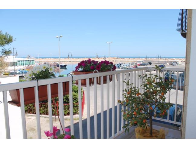 Anteprima foto 2 - Affitto Casa Vacanze da Privato a Fasano - Savelletri