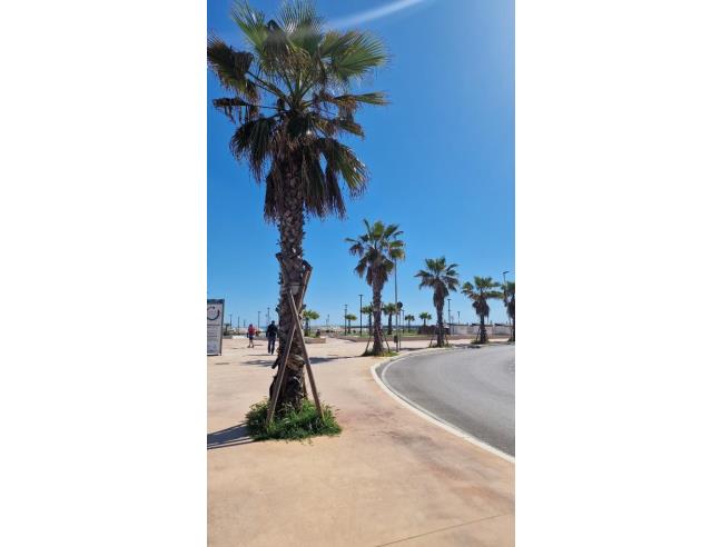 Anteprima foto 8 - Affitto Casa Vacanze da Privato a Francavilla al Mare (Chieti)