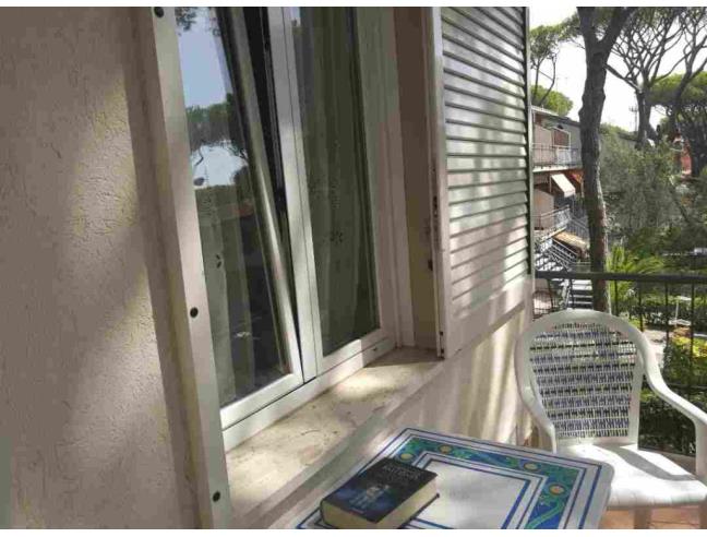 Anteprima foto 7 - Affitto Casa Vacanze da Privato a Grosseto - Marina Di Grosseto