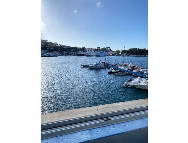 Anteprima foto 5 - Affitto Casa Vacanze da Privato a Ischia - Ischia Porto