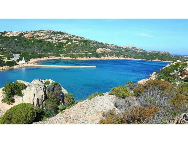 Anteprima foto 5 - Affitto Casa Vacanze da Privato a La Maddalena (Sassari)