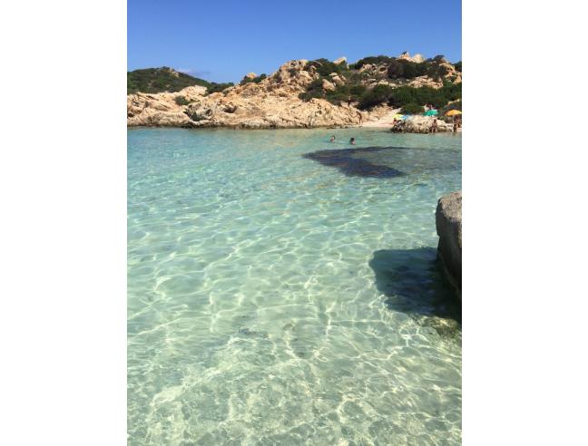 Anteprima foto 6 - Affitto Casa Vacanze da Privato a La Maddalena (Sassari)