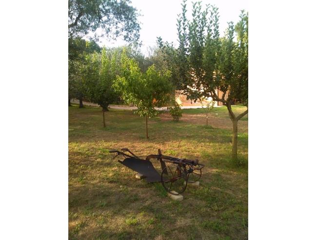 Anteprima foto 3 - Affitto Casa Vacanze da Privato a Loreto Aprutino - Cartiera