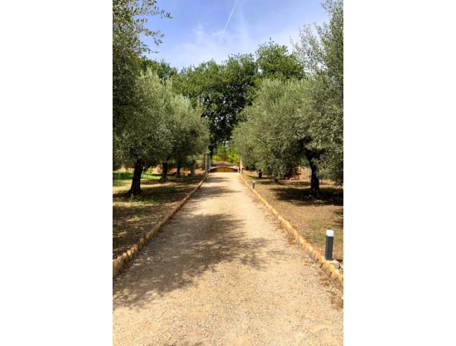 Anteprima foto 8 - Affitto Casa Vacanze da Privato a Loreto Aprutino - Cartiera