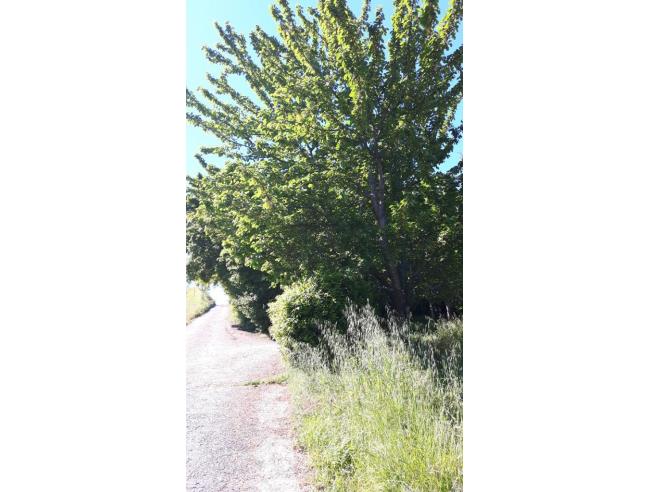 Anteprima foto 3 - Affitto Casa Vacanze da Privato a Macerata - Centro città