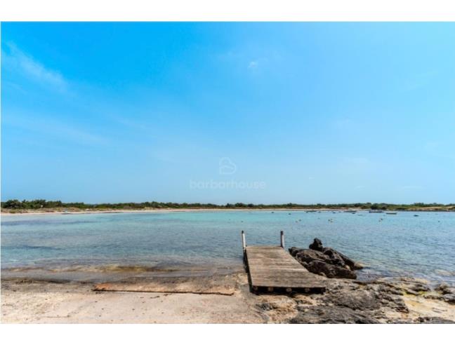 Anteprima foto 7 - Affitto Casa Vacanze da Privato a Manduria - Torre Colimena