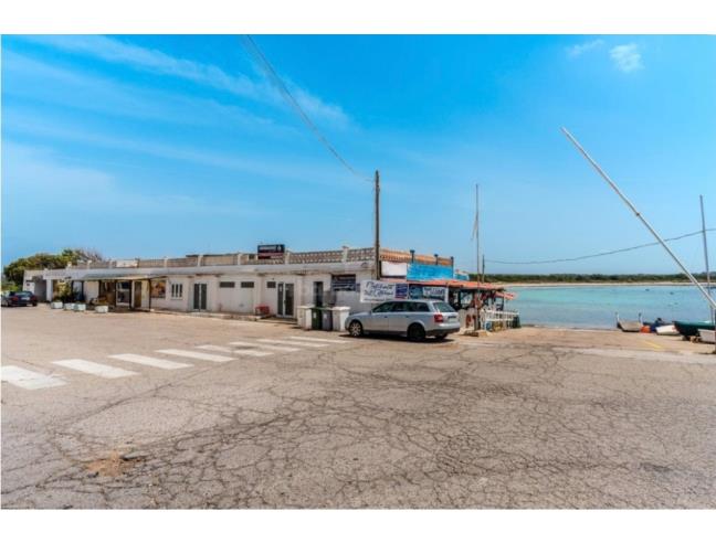 Anteprima foto 8 - Affitto Casa Vacanze da Privato a Manduria - Torre Colimena