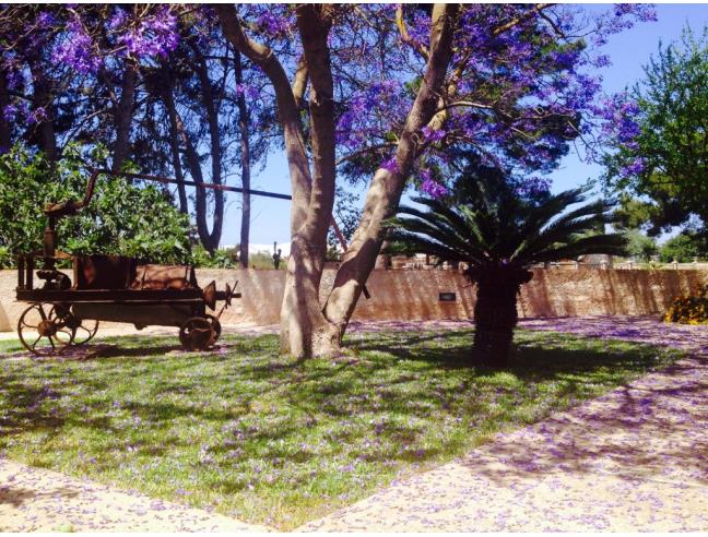 Anteprima foto 1 - Affitto Casa Vacanze da Privato a Marsala (Trapani)