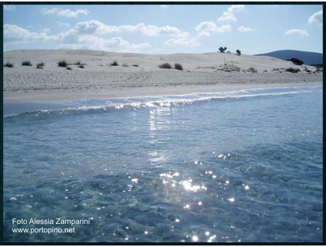 Anteprima foto 1 - Affitto Casa Vacanze da Privato a Masainas (Carbonia-Iglesias)